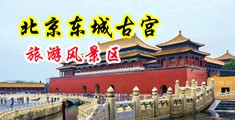 黑丝空姐操逼中国北京-东城古宫旅游风景区